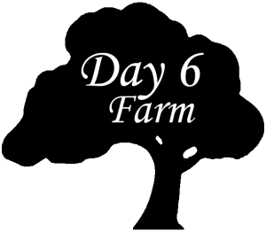 day6farm_logo